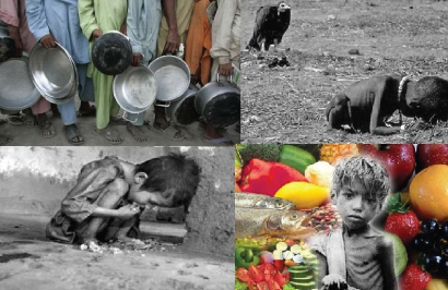<!--:pt-->Fome nas cidades: que dia terá fim?<!--:--><!--:en-->Hunger in cities: when will it end?<!--:-->