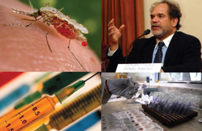 Newsletter  26 – Vacina promete 100% de proteção contra malária