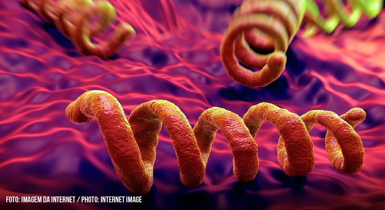 Newsletter 126 – Sífilis: estudo genético revela que doença está de volta