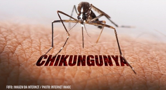 Newsletter 131 – Chikungunya pode causar comprometimento cognitivo em idosos e ser fator de risco para demência