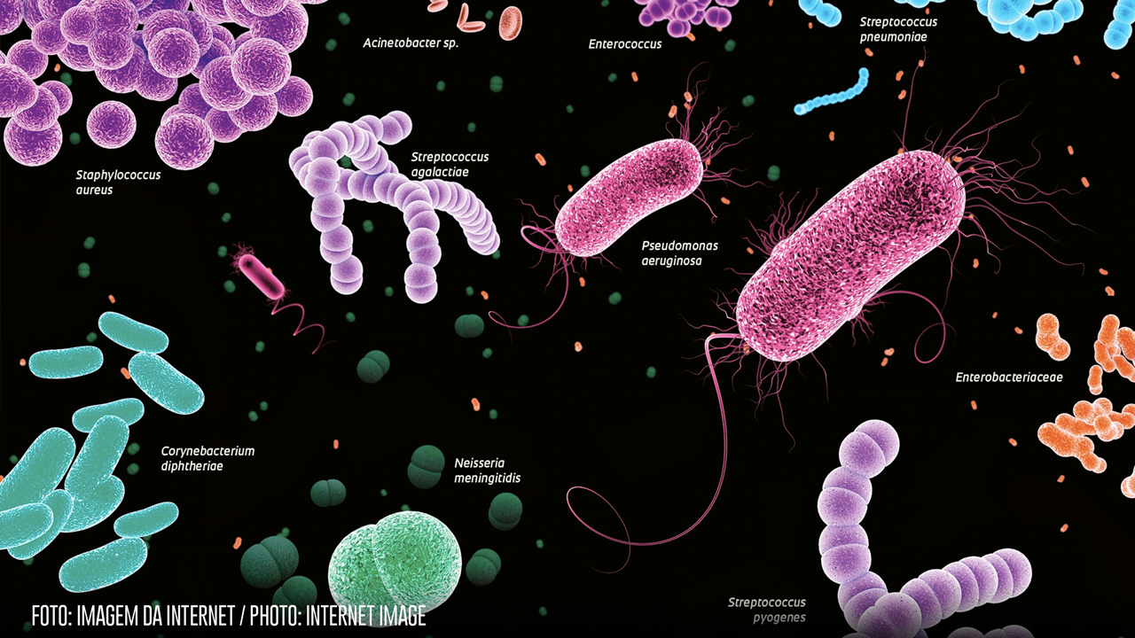 Newsletter 137 – África subsaariana: infecções bacterianas causaram a maioria das mortes em 2019
