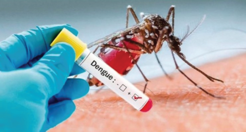 Pesquisador apresenta contrapontos em relação ao enfrentamento da epidemia de dengue no Brasil