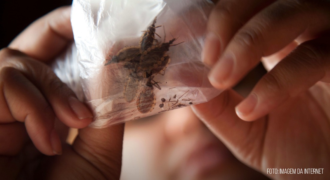 Dia Mundial da Doença de Chagas 2024: Unindo forças para uma detecção precoce e um acompanhamento ao longo da vida