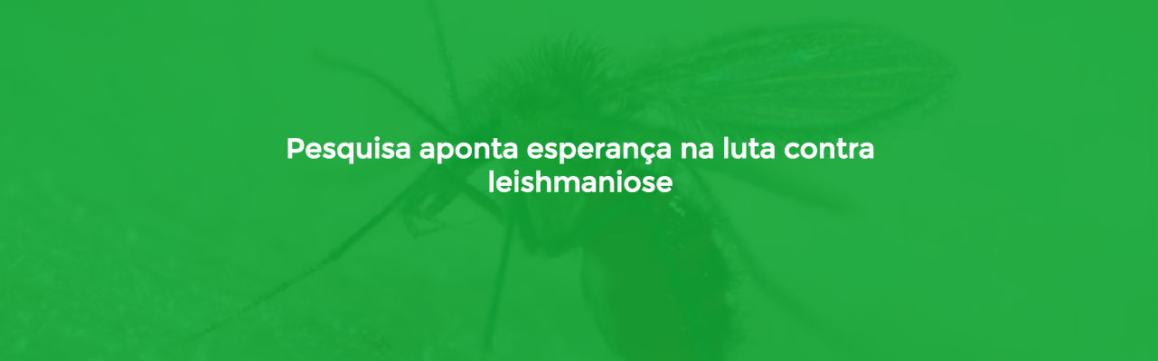Pesquisa aponta esperança na luta contra leishmaniose