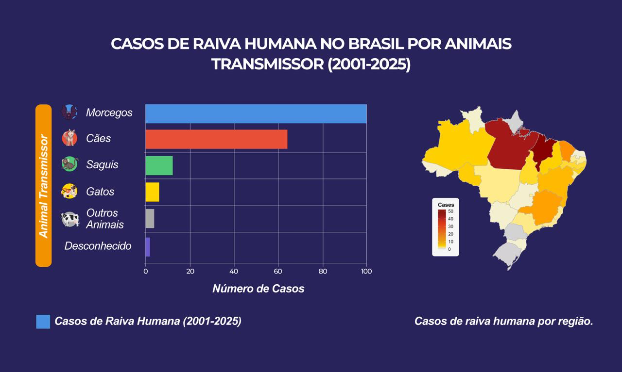 Raiva humana no Brasil: ameaça silenciosa dos morcegos e saguis