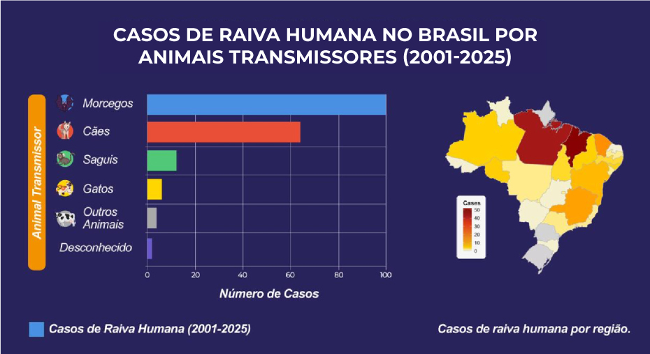 Raiva humana no Brasil: ameaça silenciosa dos morcegos e saguis