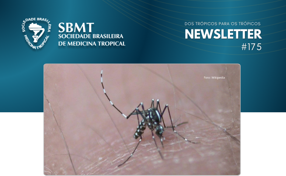 SBMT - Newsletter 175