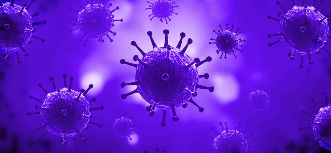 201906_drauzio_virus_42661665_vichly_1000x563