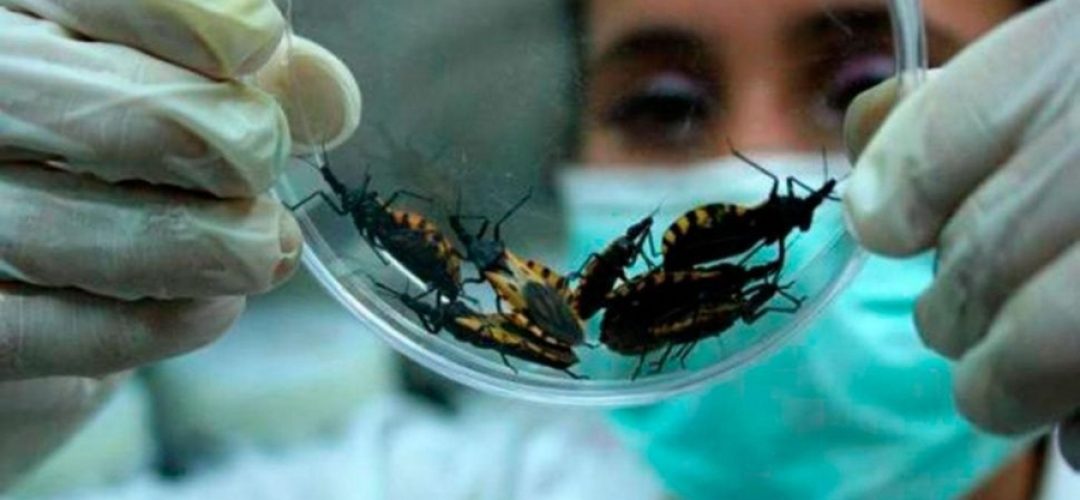 Chagas