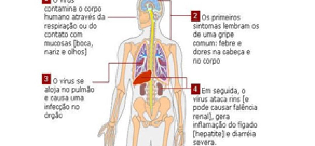 asas