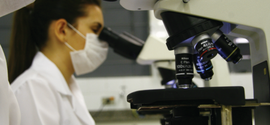Projeto Biomédico nos EUA