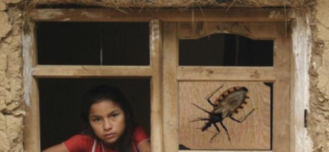 Dignidade – ‘Os vampiros da realidade só matam pobres’ conta histórias de pessoas completamente excluídas de um sistema de saúde