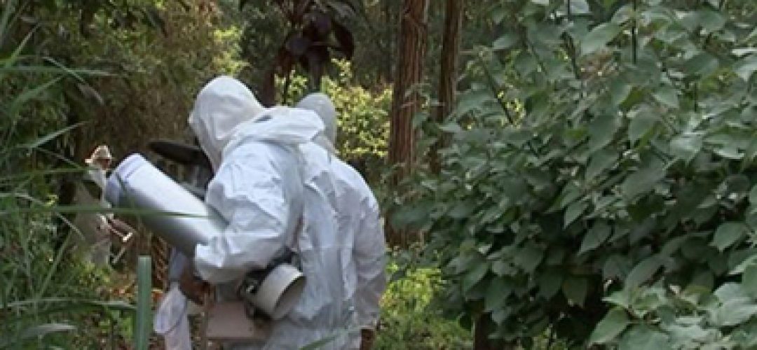 Quantas mortes no leste de Minas Gerais teriam sido evitadas se houvesse uma vigilância bem feita