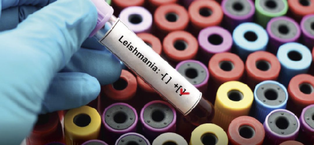 INI's experience, currently coordinated by Dr. Maria Inês Fernandes Pimentel, and other authors, both in Brazil and Latin America, has shown good results, even in patients with more than one lesion