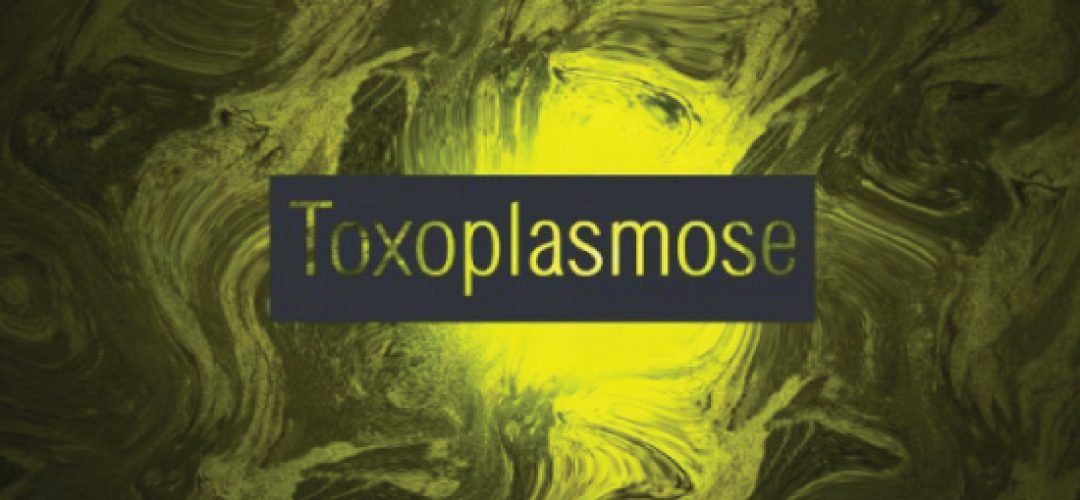 Last Update Report of Investigation of an outbreak of Toxoplasmosis points 621 confirmed cases and 515 patients under investigation