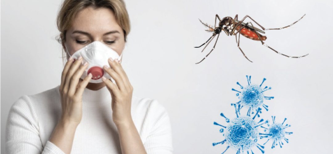 Apesar de acometerem a população no mesmo período, a dengue e o coronavírus têm mecanismos completamente diferentes de contágio