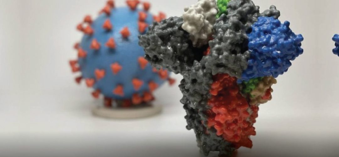 According to the WHO, to win it is necessary to attack the virus aggressively and with targeted tactics. Test all suspects, isolate them and take care of those who are contaminated. There is still no proven effective treatment