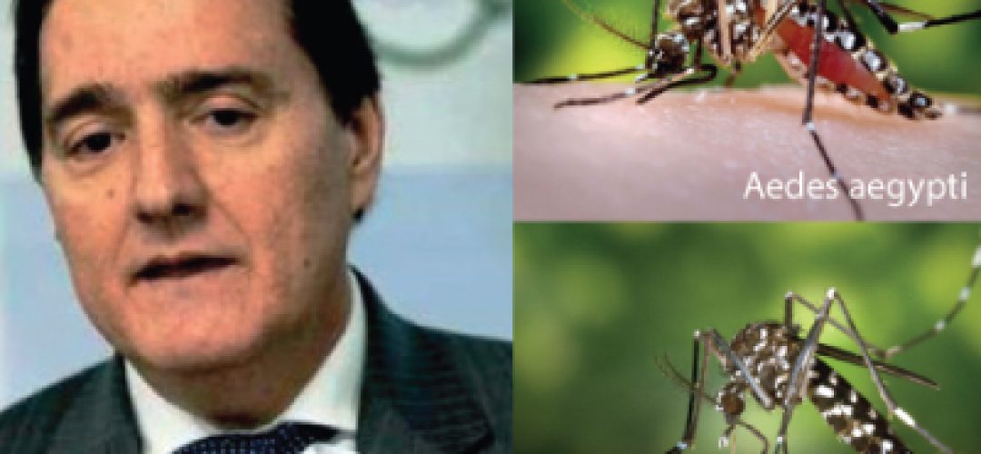Para doenças como Chikungunya não existem medidas efetivas em fronteiras ou aeroportos, pois a pessoa pode viajar durante o período de incubação ou ser um caso assintomático