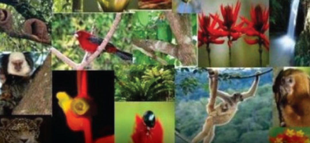 New law will require all researchers working with samples of biological material in Brazil to take precautions in order to follow the law. The regularization of all projects and accesses must be held until November 5
