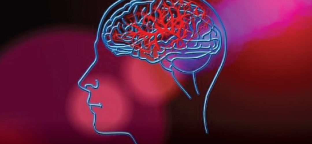 The impact of cases of neurological impairment on the health of individuals and on the installed capacity for assistance in the public hospital network are worrisome factors