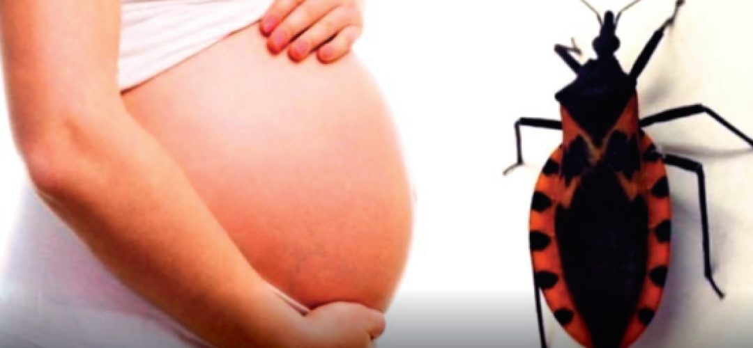 In Brazil, only two States carry out the screening of pregnant women by "Mother's Test Program", coordinated by APAE [Association of Parents and Friends of Special Children] and by their respective Health departments