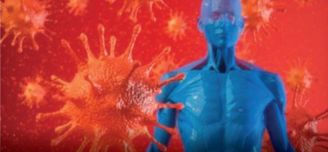 Alpha coronavirus 229E and NL63 are more common, and children are more prone to infection, whereas Beta coronavirus OC43 circulates among humans, but is not investigated in the laboratory routine