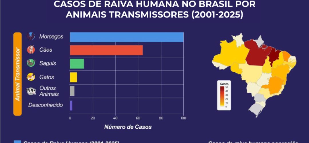 Em áreas remotas, como a Amazônia, o contato com morcegos eleva o risco de infecção pelo vírus da raiva, uma doença letal que desafia o sistema de saúde brasileiro