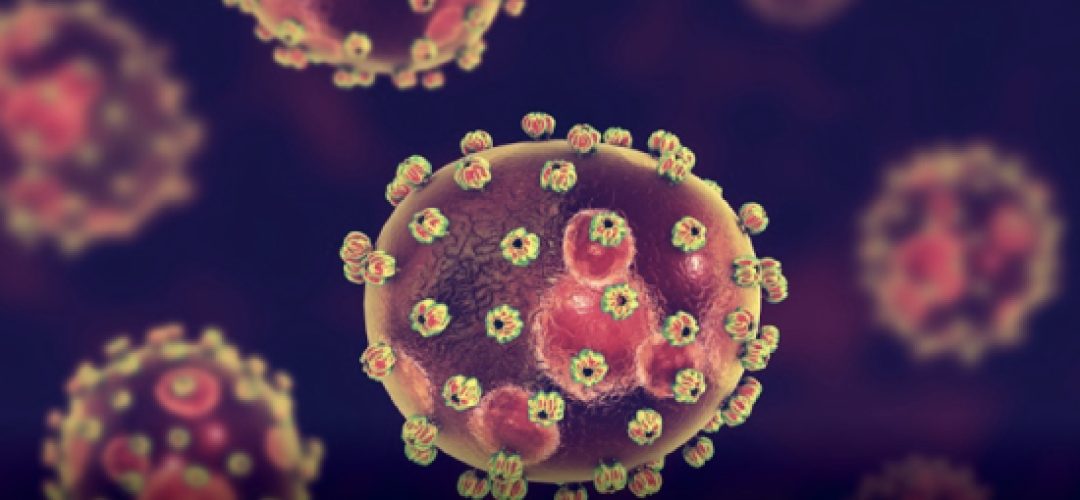 In 2019, alone, the disease killed about 170 people in Nigeria, and in the first weeks of 2020 more than 100 deaths were recorded