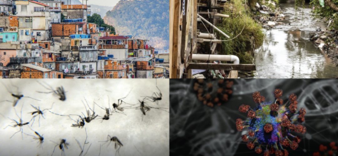 Arbovirus epidemics have become very frequent and the impact has been tremendous in the face of social inequalities, poverty, lack of education and the neglect of authorities in most of the affected countries