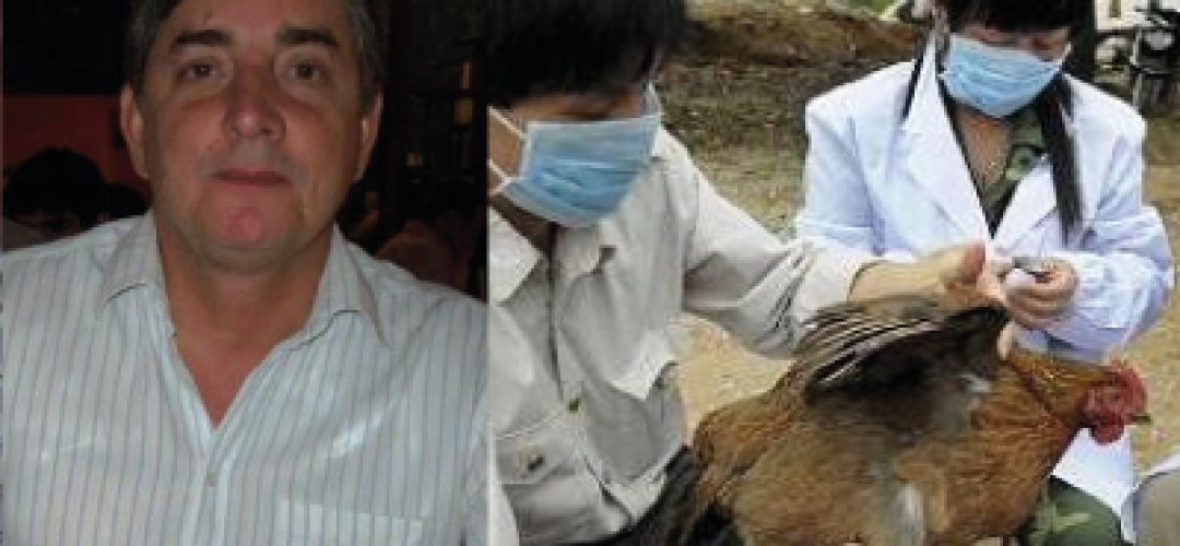 The risk of a pandemic is closely followed by Latin American countries. In 2009, the region was one of the most affected by Influenza A (H1N1), earlier referred to as pig flu, according to the World Health Organization (WHO). Argentina, Mexico, Chile, Brazil and Peru reported hundreds of fatal victims