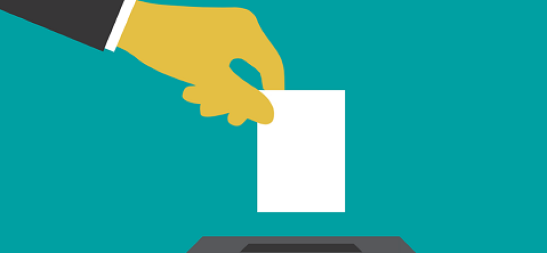 voto