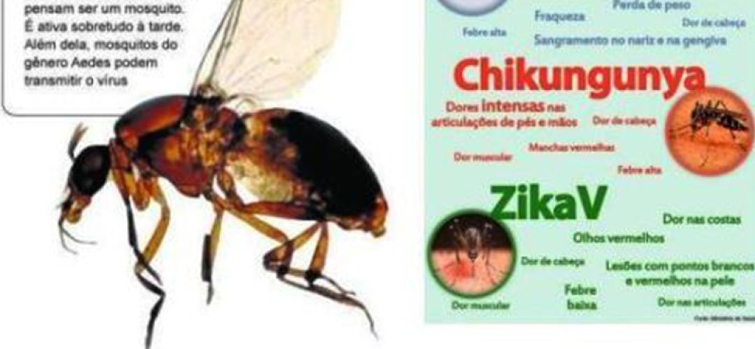 zika